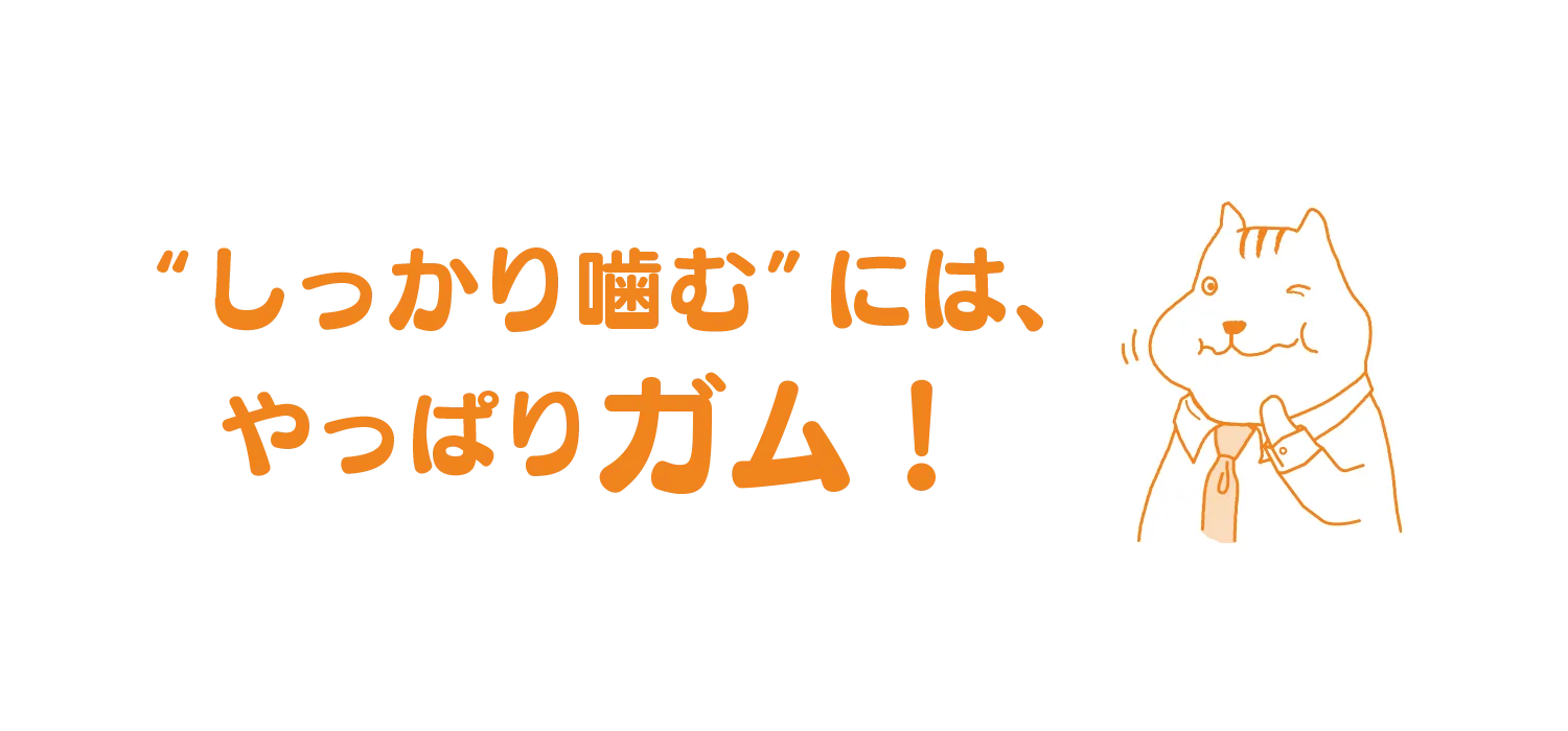 mainvisual