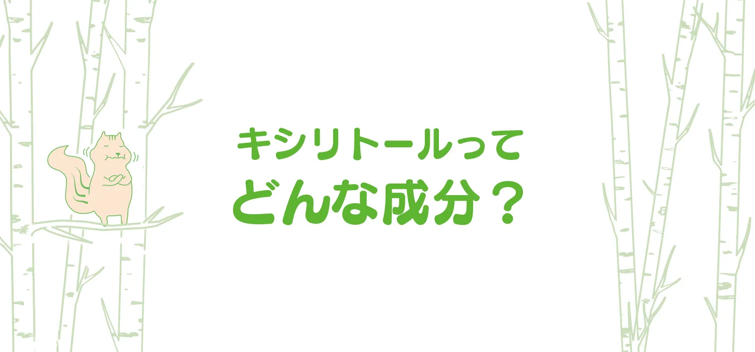 mainvisual
