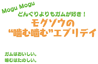 Mogu Mogu どんぐりよりもガムが好き！